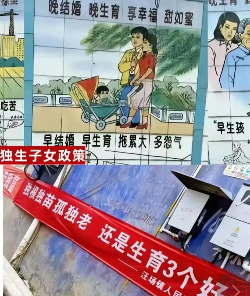 在上世纪后半页，除了中国之外，伊朗、印度、韩国、越南、埃及等许多国家都实行了计划