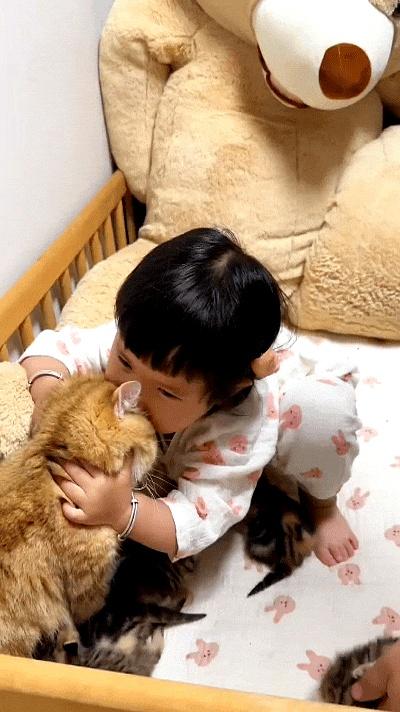 你家娃是不是也这样，见着毛茸茸的小东西就忍不住上手薅？我家闺女最近可算逮着了，