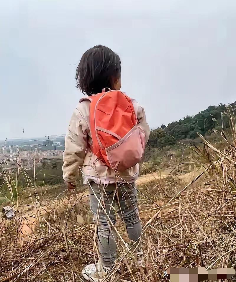 谁能想到，在贵州安顺的大山深处，一个7岁女童每天上下学的“全职保镖”，竟然是一条