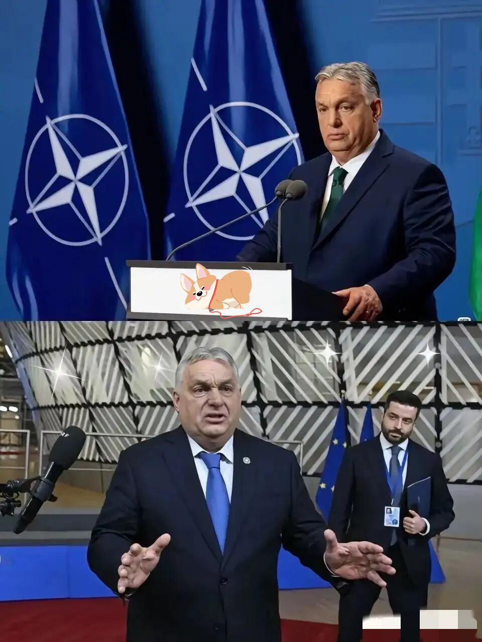 摊牌了！匈牙利这波表态太硬核最近匈牙利直接亮明对华立场，把中国地位说得明明白