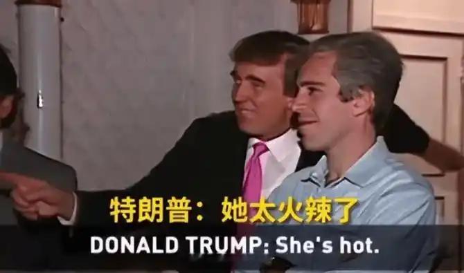 爱泼斯坦吃人当我看到那张和火鸡🦃并列摆在一起，腿部疑似人腿的照片时，感觉自己