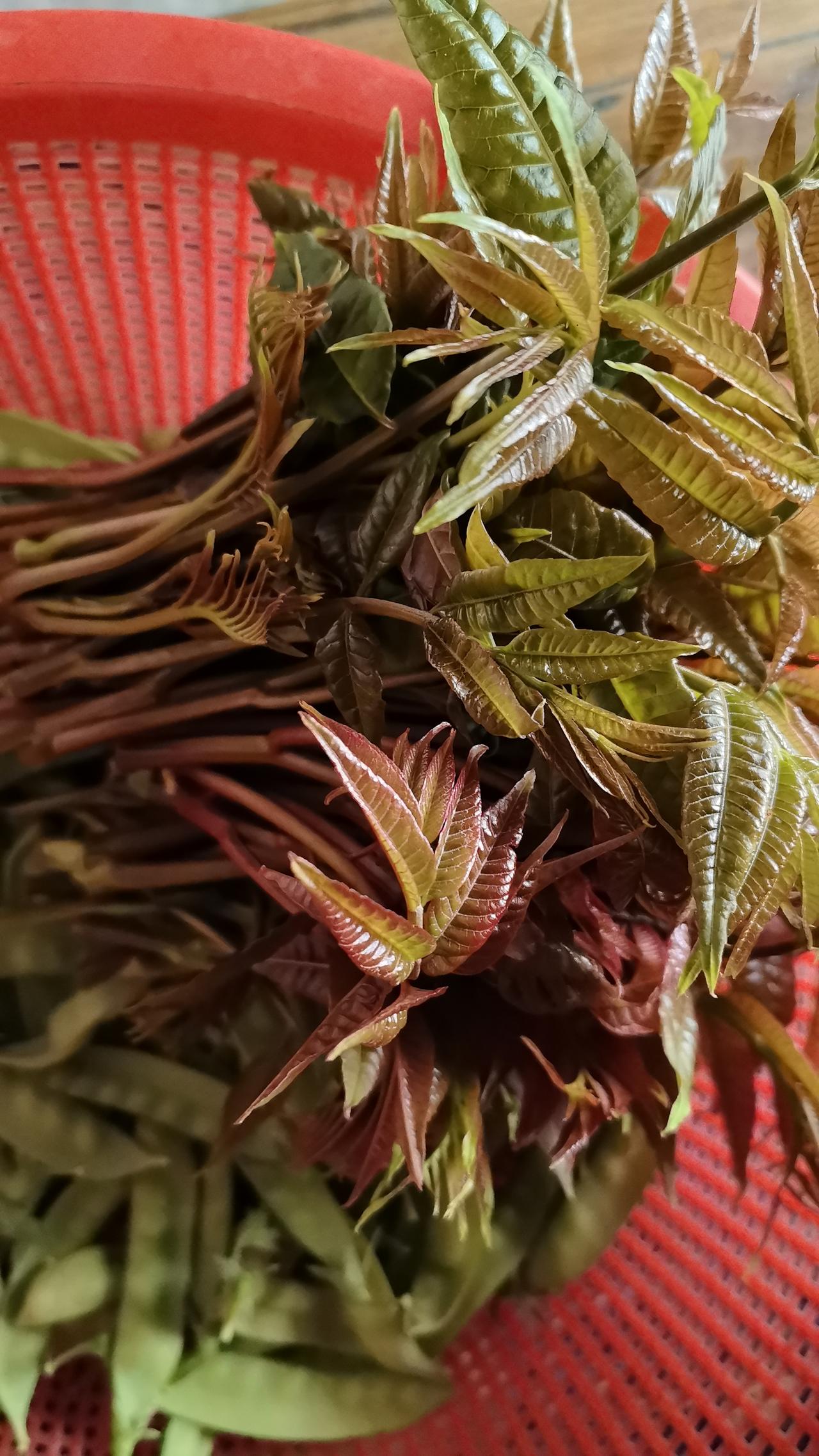 我还记得三十年前：刚出来打工，认识了一个厦门的朋友，他们一家对我颇为照顾，我非