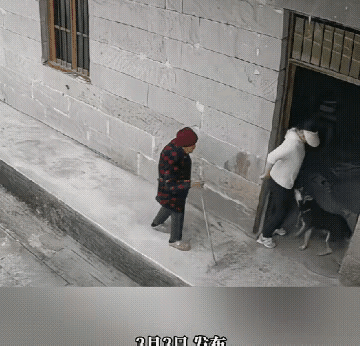 有人说都怪这条狗，而且说这是一条养不熟的狗，其实这些说法都是不对的，如果这个女孩