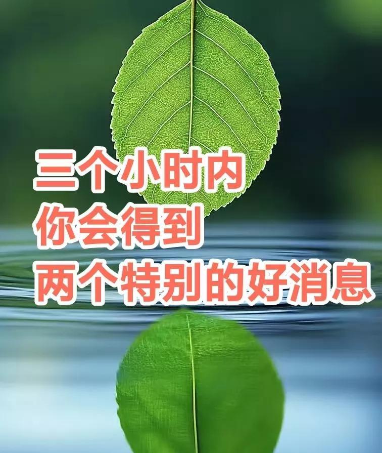 有福之人，请留步，三个小时内，你会得到两个特别的好消息，你要接。