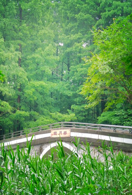 湖北旅游，鄂北明珠广水美景攻略！