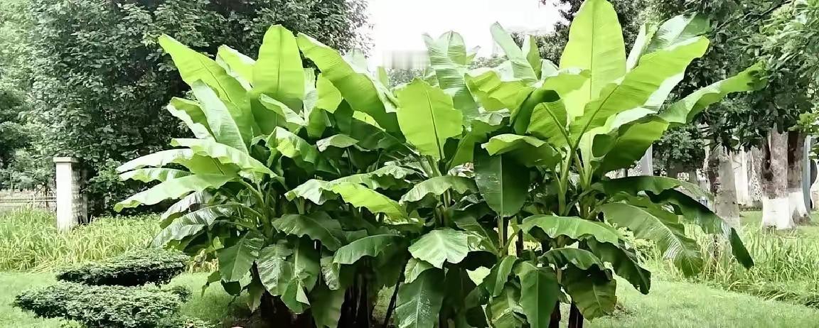 70元一天包吃住避暑！老两口看清饭菜直接退房：便宜不等于糊弄夏天城里热得像蒸
