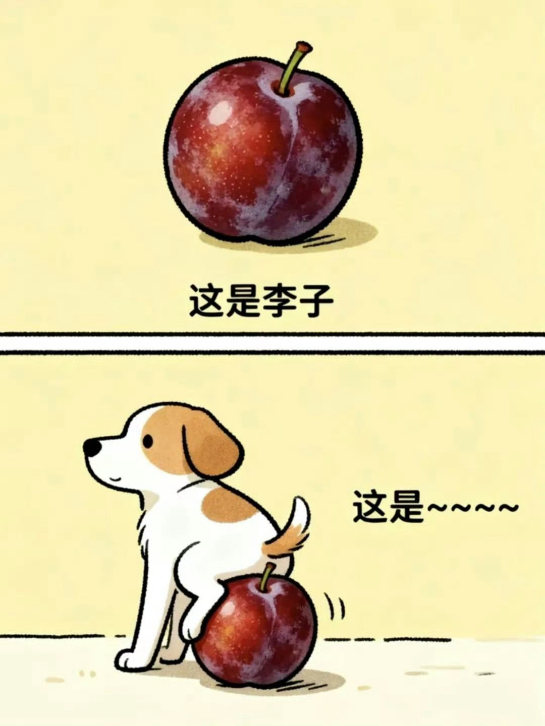 谐音梗考试题​​​