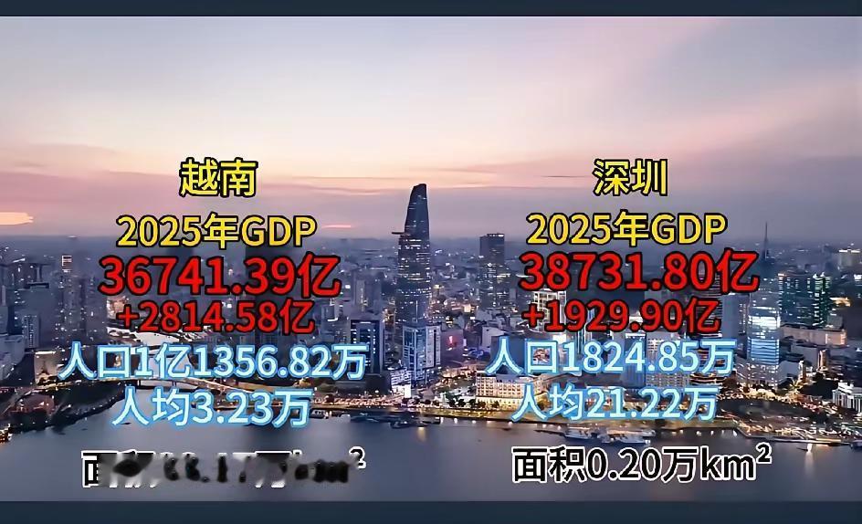 越南作为国家与中国一线城市深圳的经济体量属性不同，两者的经济发展特征存在明显差异