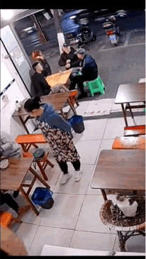 给你来个大变活猫[呲牙笑]​​​