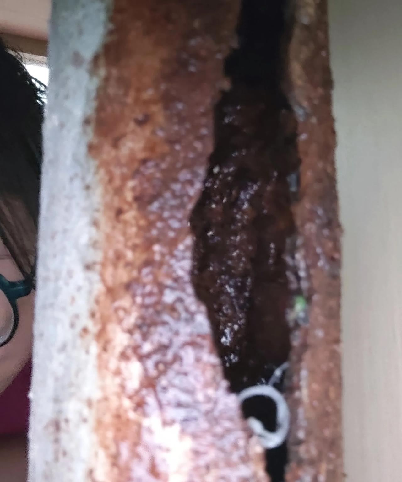 老房子那边小区改造接近尾声了，现在就差小区里面地面还没弄利索，其他的都差不多了，