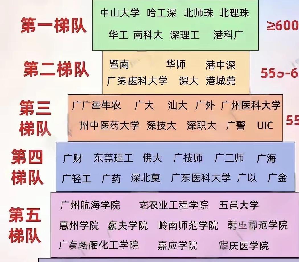这是广东各大学梯队表，南科大高居第一梯队，南方医科大学位列第二梯队，广州中医药大