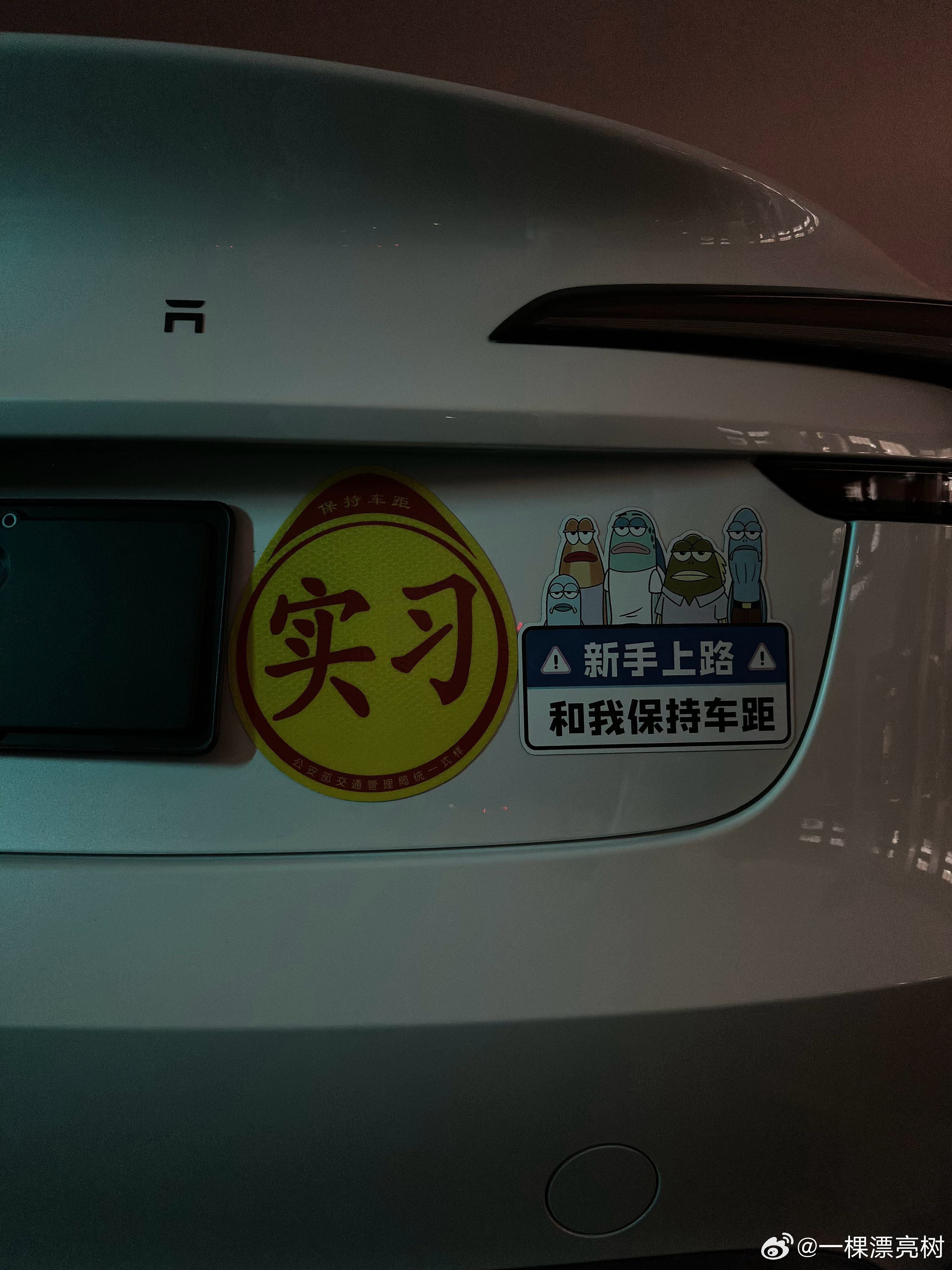 #特斯拉Model3升级#你搞笑吧？我9月12号提的车，静悄悄不吱声，半个月后升级15.4的屏换成1
