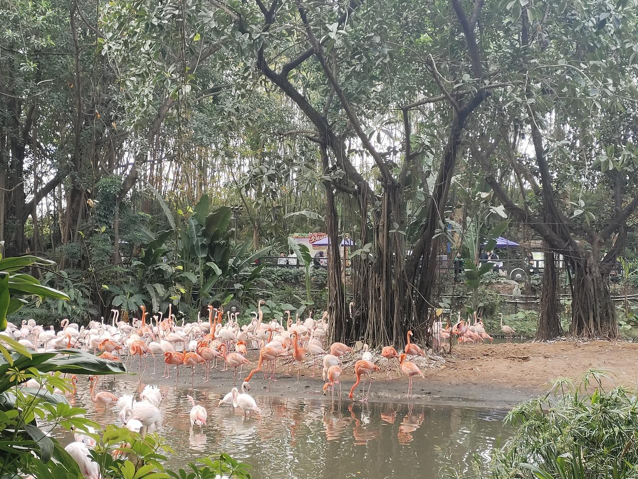人到中年猛然惊醒：离终点越来越近，身边一切都在渐行渐远，人间每一面，都是见一面少