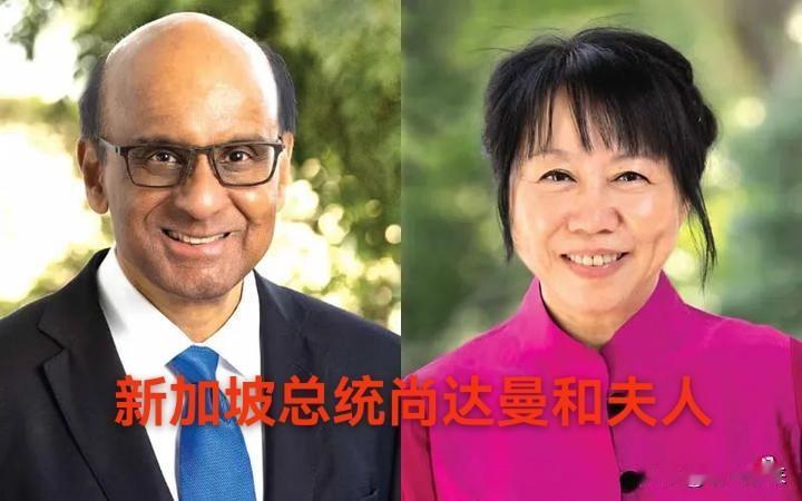 目前印度裔在新加坡异军突起新加坡九任总统尚达曼印度裔尚达曼妻子是珍一藤木
