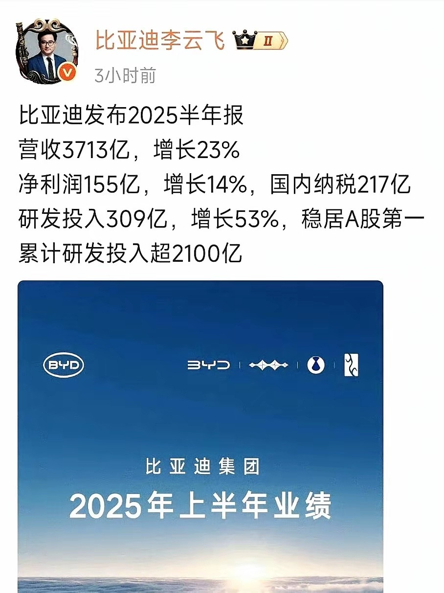一天狂赚一个亿！比亚迪这圈钱的速度确实惊人！但半年155亿元净利润的背后，是30