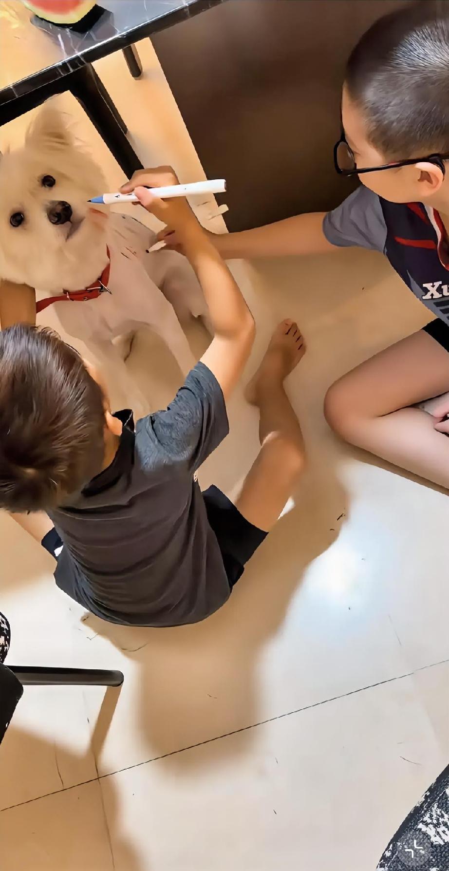凉皮儿：小姑姑，你看我家的狗狗漂亮不？二宝：小姑姑小姑姑，你快看这是我和哥哥一