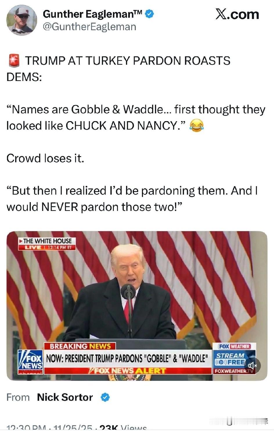 川普在火鸡赦免仪式上调侃民主党人：“这两只火鸡叫Gobble和Wadd