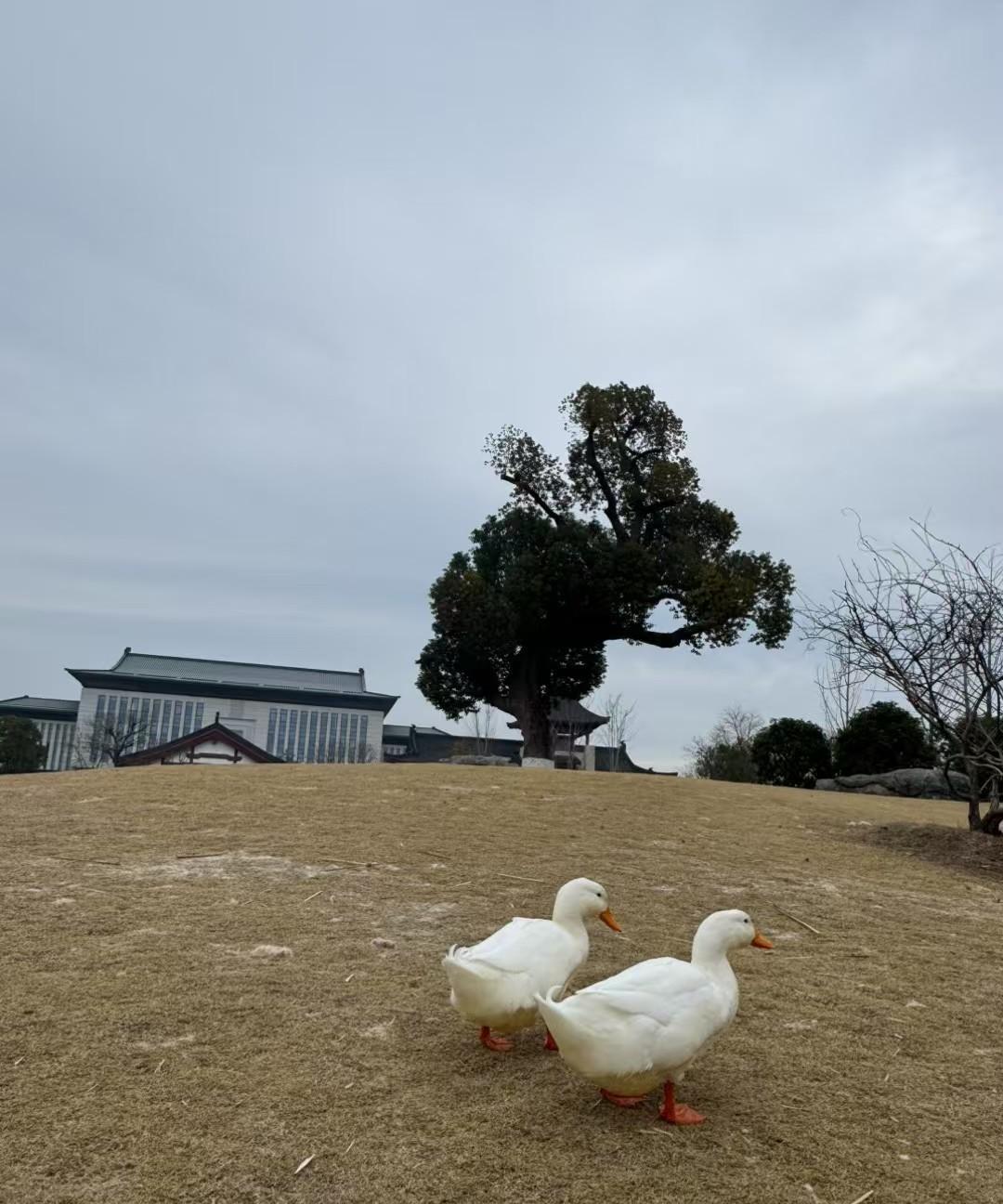 反腐败这么多年，措施越来越严格，从查处大腐大贪到整治违规收受礼品礼金等微腐败行为