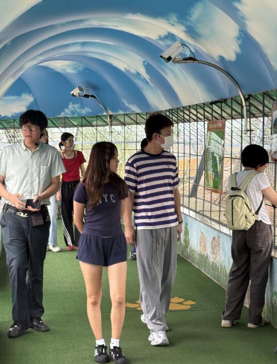 8月2日，贾乃亮与甜馨回到哈尔滨老家游览东北虎林园，甜馨长高了，但腿型不好看，大