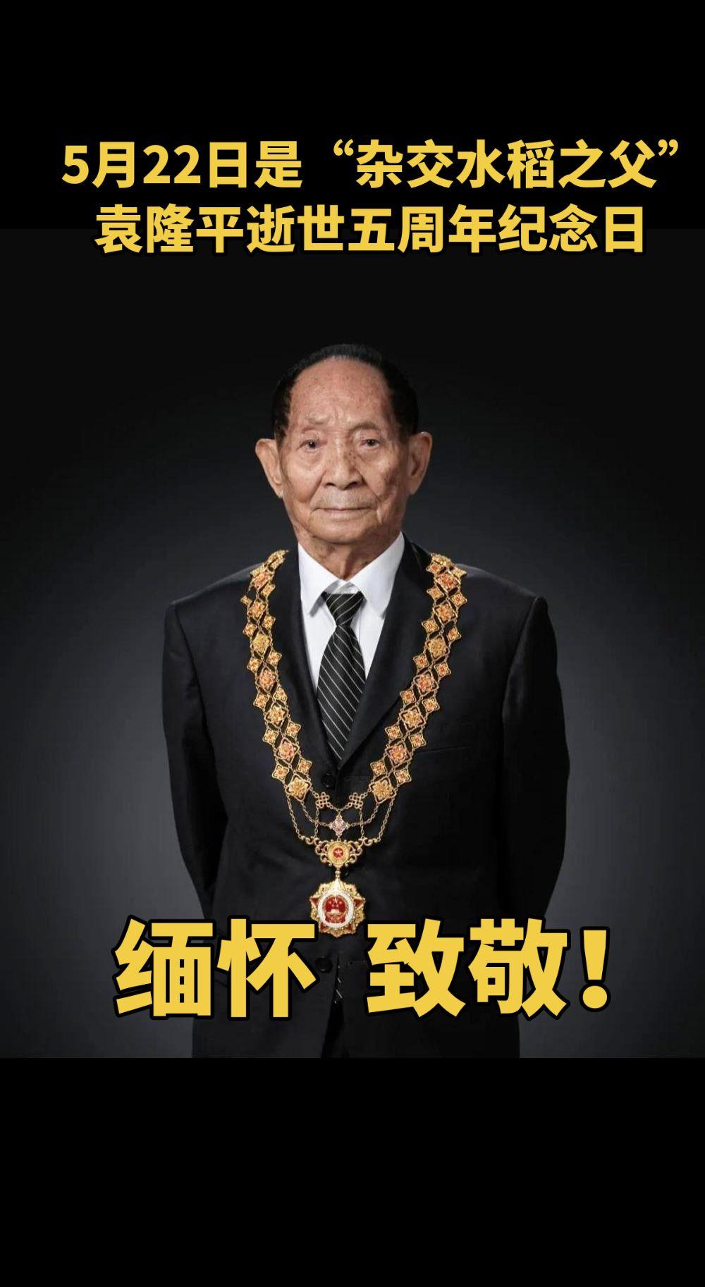 5月月22日是“杂交水稻之父”袁隆平逝世五周年纪念日。永远怀念袁隆平院士。缅怀