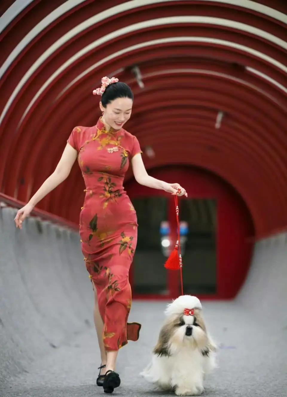 霍思燕的狗狗得奖了，杜江自豪发文，两口子比自己得奖还兴奋。12月20日，霍思