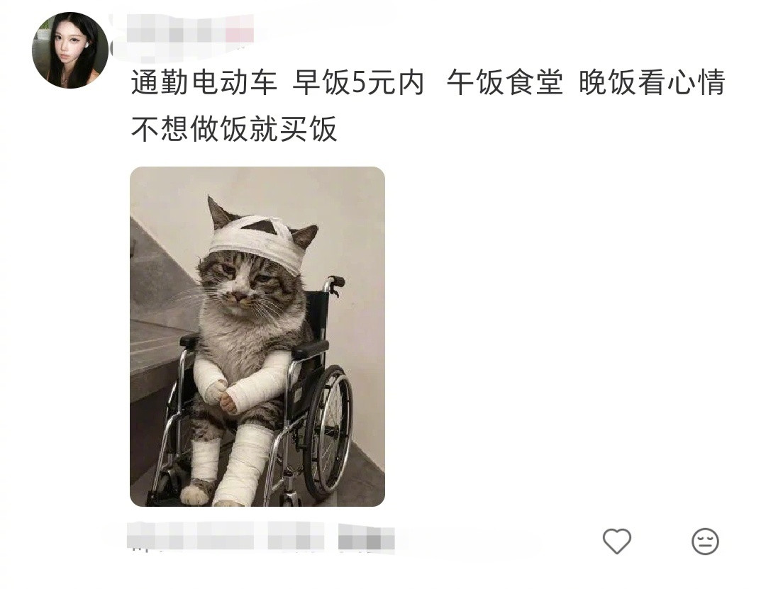 你每天上班成本是多少？
