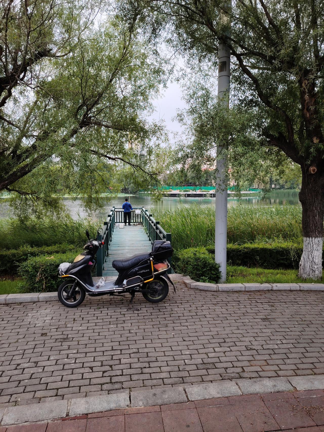 不佩服都不行啊，钓鱼佬起的是真早呀！
