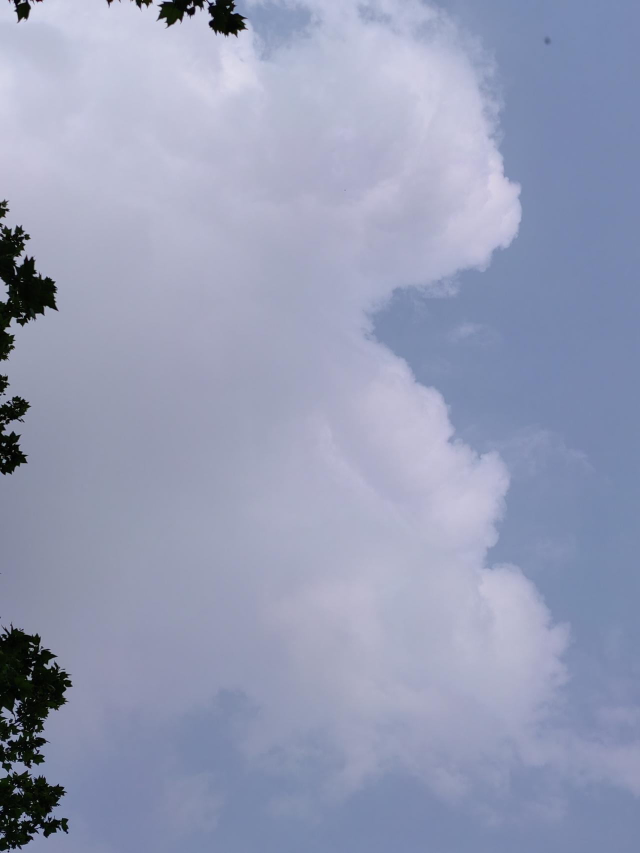 一老乡，夫妻皆在重要局委工作，且是领导干部，家底殷实可以想象。唯一的儿子名校法