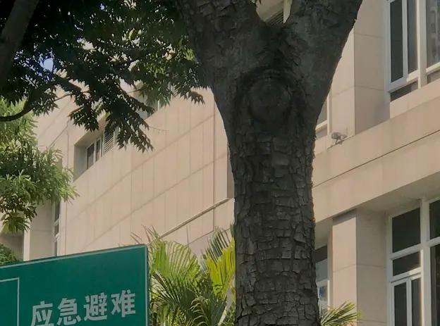 市场监督管理局，应急管理局，他会怎么选他是法学毕业生，没过法考公检法司