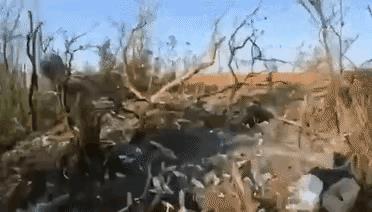 7月6日，顿涅茨克南部地区，几名乌军隐藏在树林里的一处较深的掩体里，他们轮流趴在