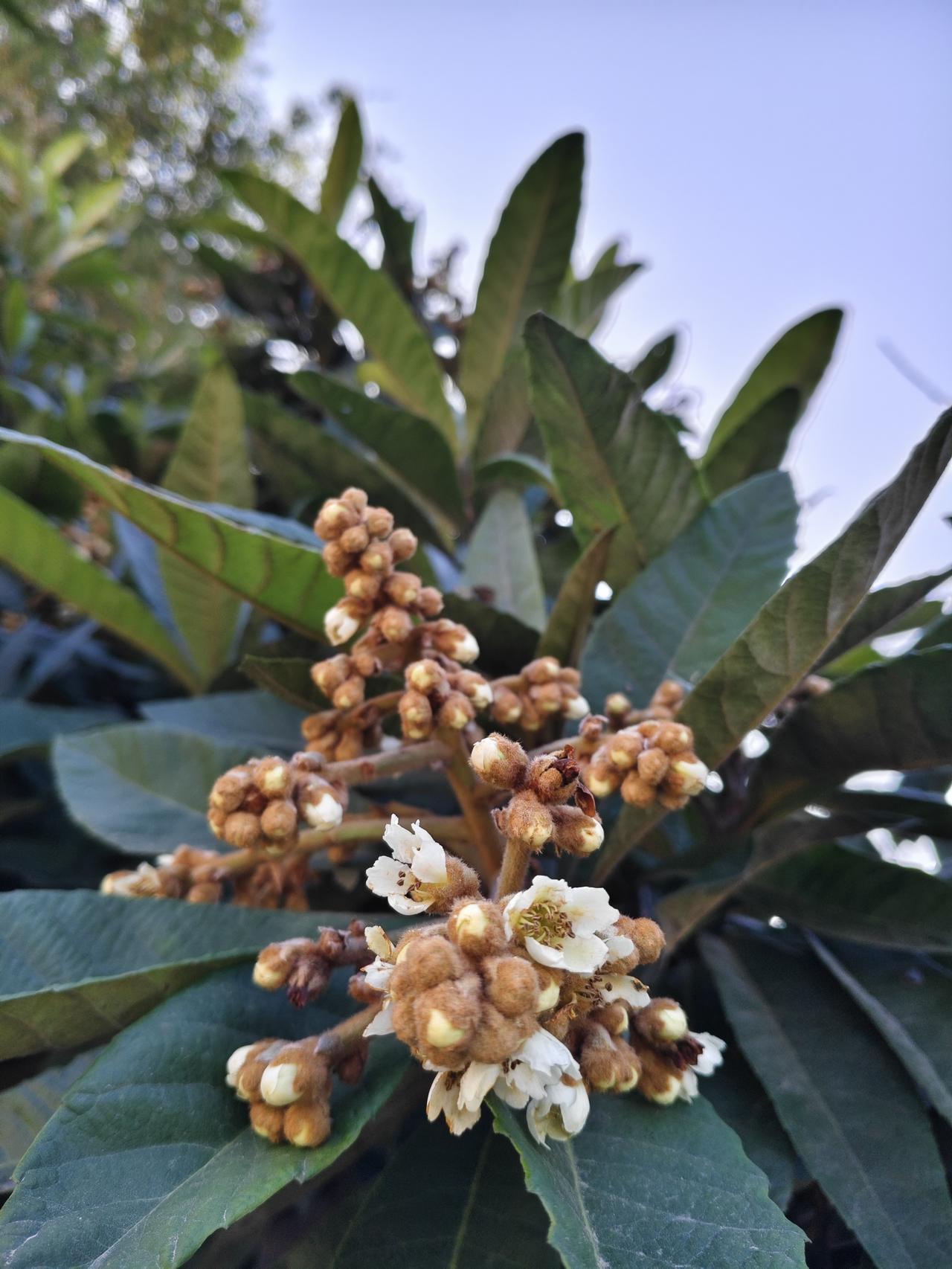 以后我老婆不管我妈，不伺候我妈，我是一句话都不会说她的。我妈对我老婆一直不好