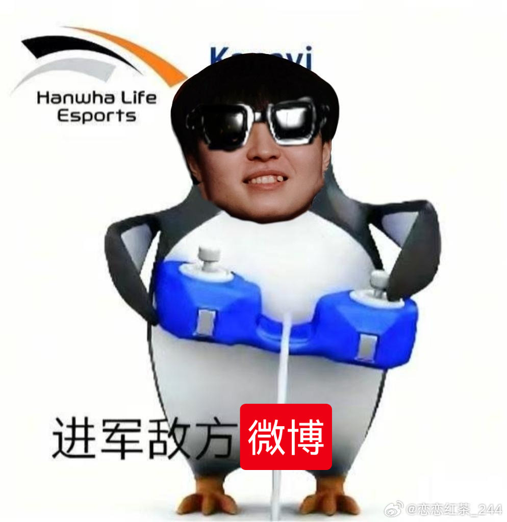 回答一下粉丝提问：①wbg四等一辅助，试训完了，在等最后抉择；②tes和hang