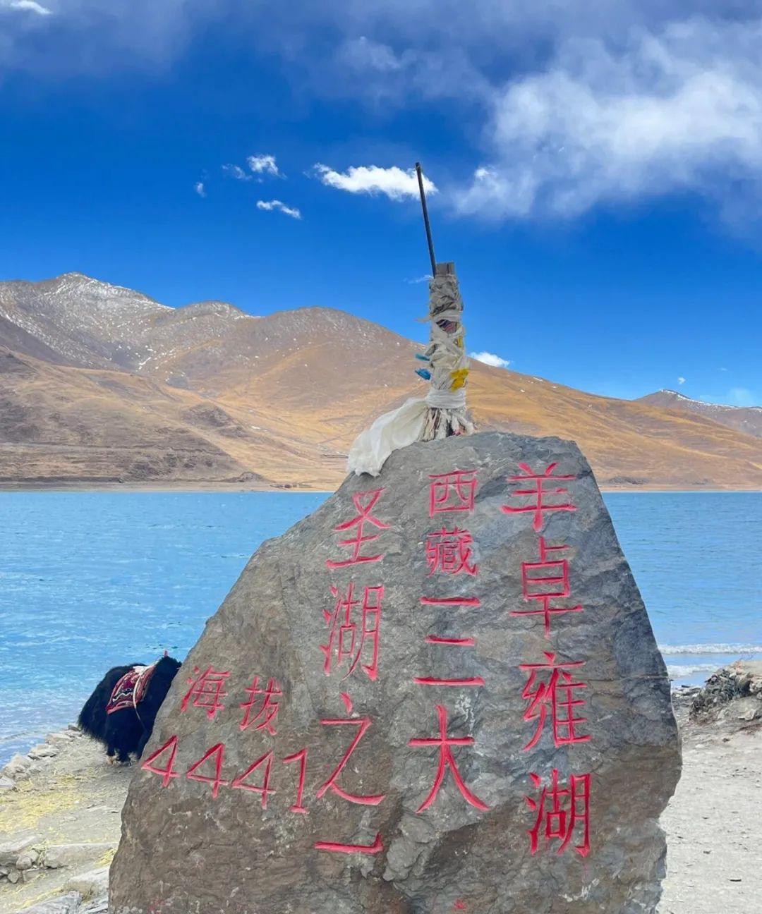 西藏羊湖的鱼泛滥成灾，为何无人敢吃？一位老渔民道出原因。在西藏有三大圣湖，羊湖就
