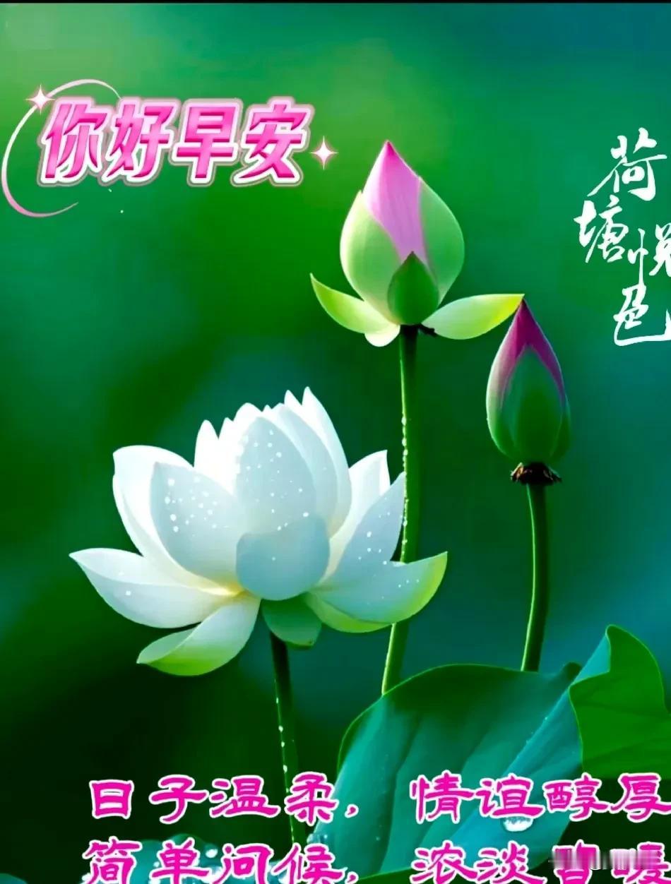 清晨问候心情好，心态乐观很重要。开心快乐人不老，平平安安身体好。[比心]