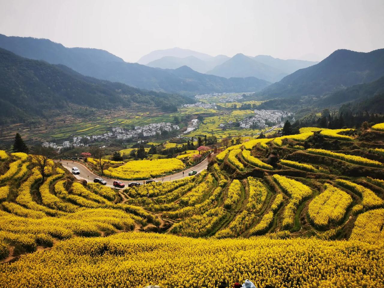 今天跟一个高二的学生家长聊天，家长跟我说孩子的期末考试没有考好，原来孩子在初中的