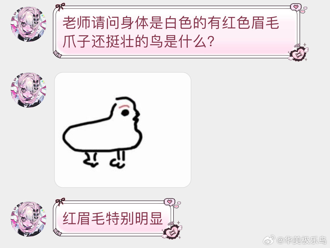 小天才的鸟类绘画柳雷鸟倒也能认得出来…​​​