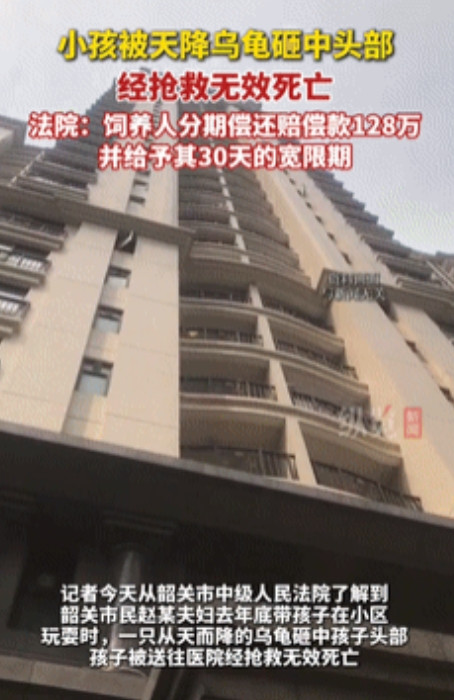 “冤不冤？”广东，天降乌龟砸死男童，家属向主人和物业索赔128万，乌龟主人却不服