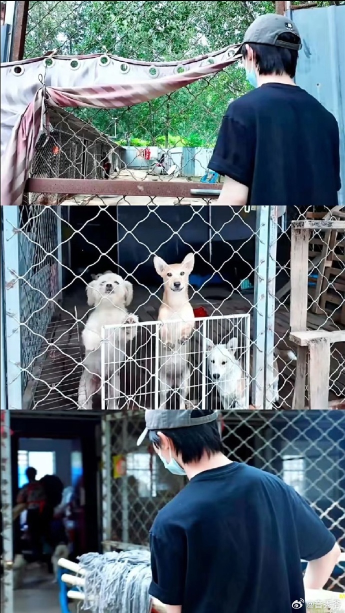 马嘉祺心愿是给救助站的猫狗粮食一边综艺调皮撕伞玩梗超有梗，一边满心挂念流浪小动物