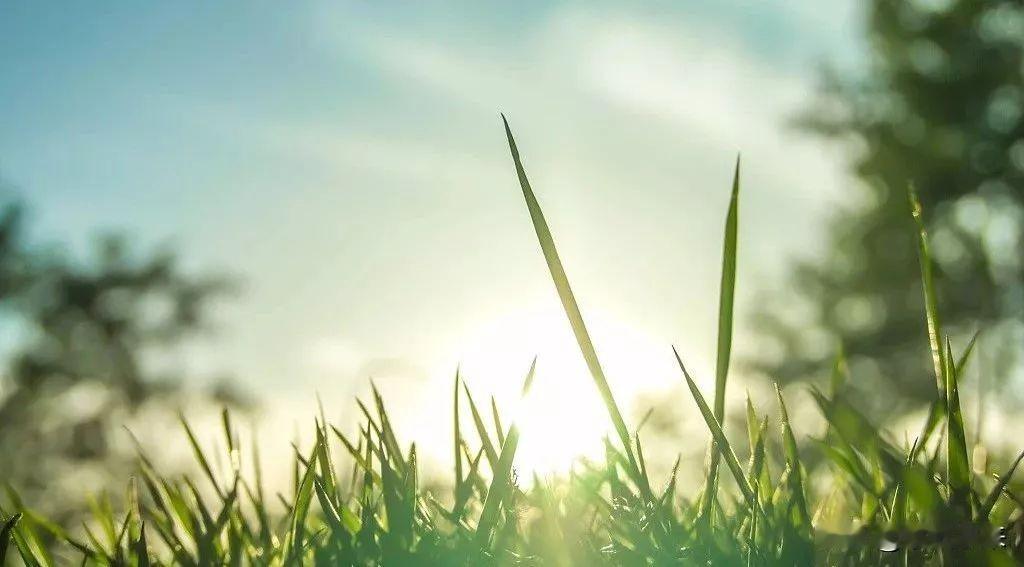 你信不信越急越乱，越乱越烦，越烦越燥，越燥越不安，最后心神不宁，惶恐不可终日