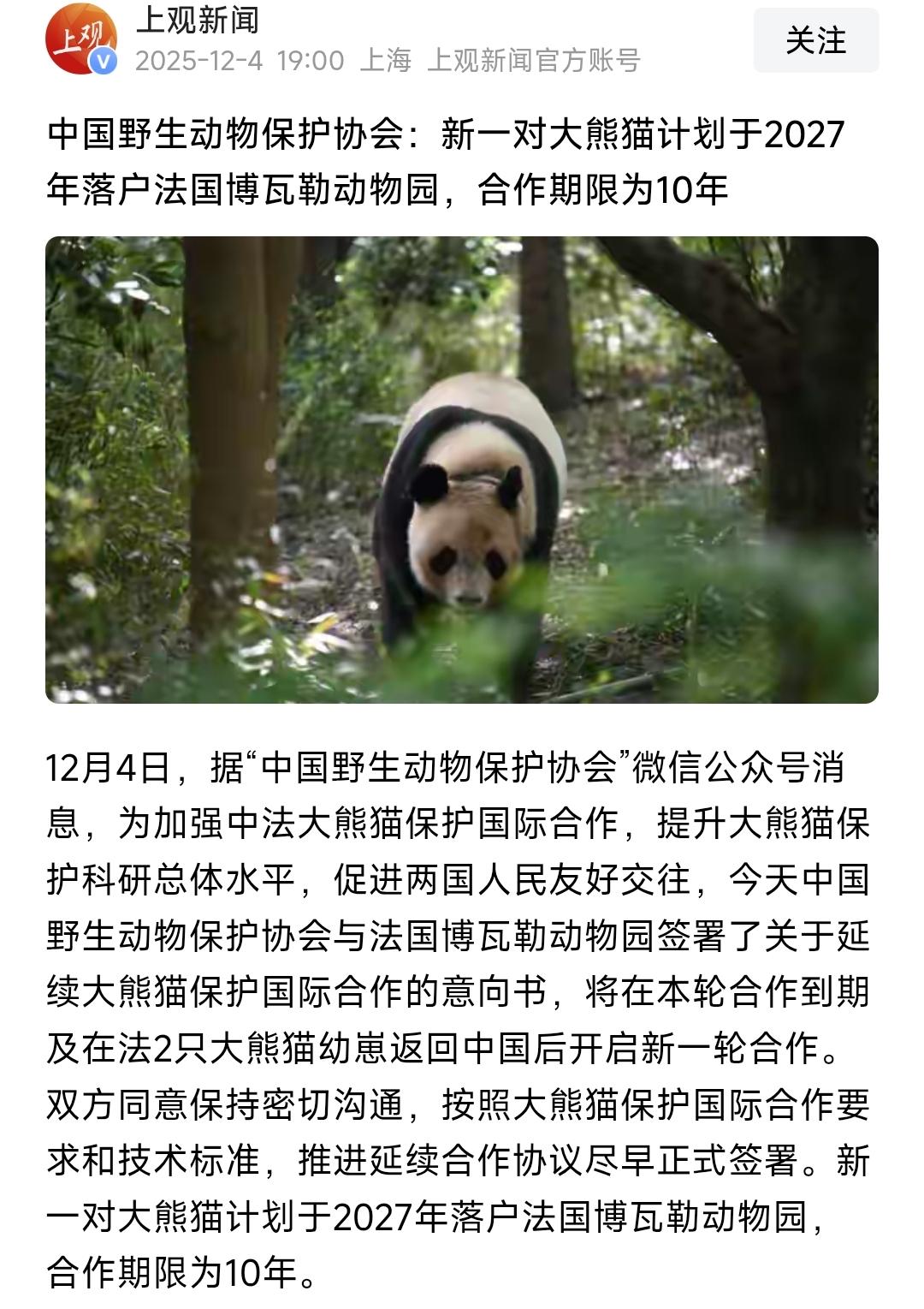 好家伙，还真给要走了两只大熊猫！这下国宝又要背起行囊，远离家乡出国打工挣钱了