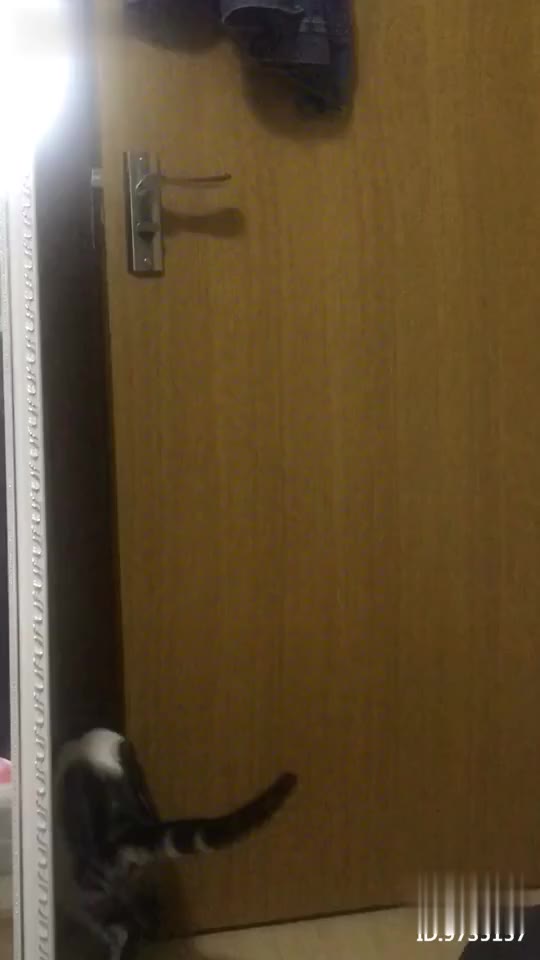 跆拳舞教学太极3章(演绎版)_土豆视频