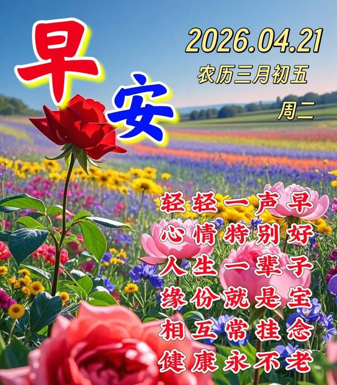 晨起有微笑，问候暖心房，愿你生活如晨曦般明亮，充满希望与欢笑；身体健康，活力满满