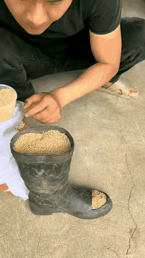 这种方法既节省了食料，也防止了食料被污染，养鸡小哥智慧无穷啊！