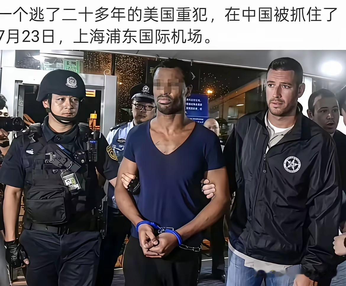 一名逃了二十多年的重犯，摇身一变竟然变成了竟然变成了我们某所大学的外教老师，这么