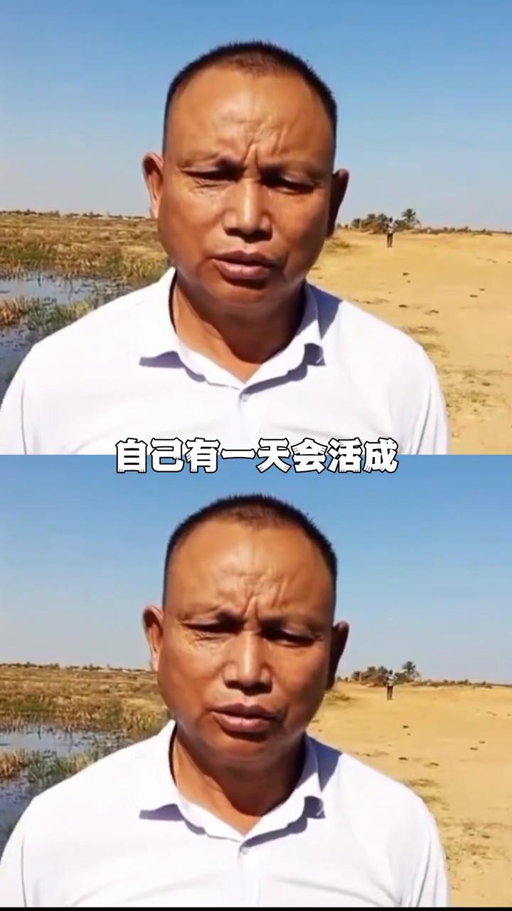 这才是真正的