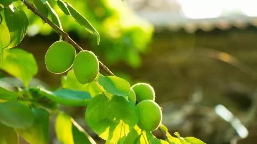 同事间的虚伪，从一些事情中就能感受的到，比如一次选举先进个人，让我觉得一点意思都