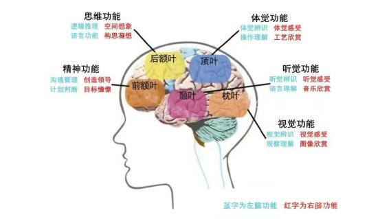 长期抽动症不治疗，孩子大脑的变化超乎你的想象，CT报告不说谎！上周门诊来了个