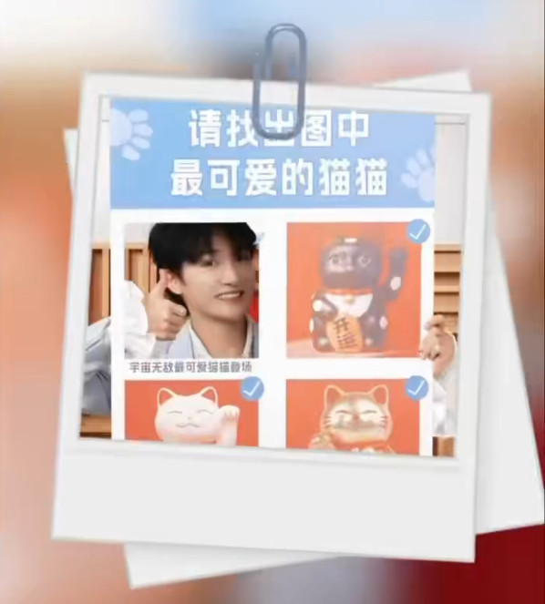 周深就这么一眼识别内娱套路好可爱的猫猫周深的千年等一回太仙了