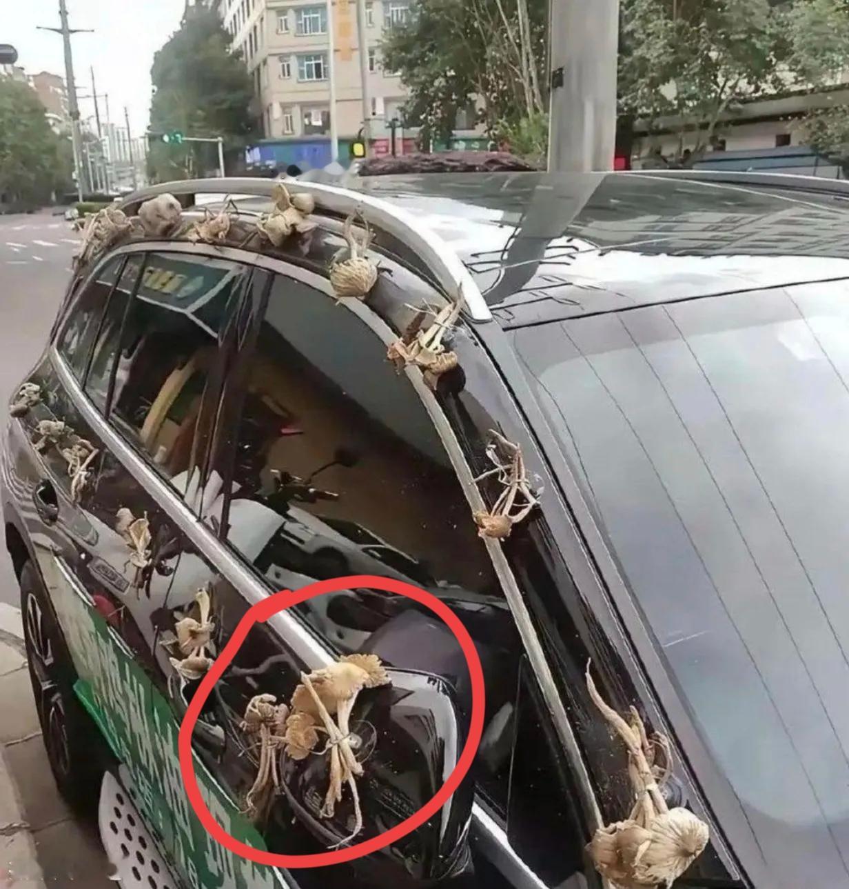 老婆:老公，今天家里新买了一辆车，拿2000元去把车膜贴一下。老公:老婆，车蘑