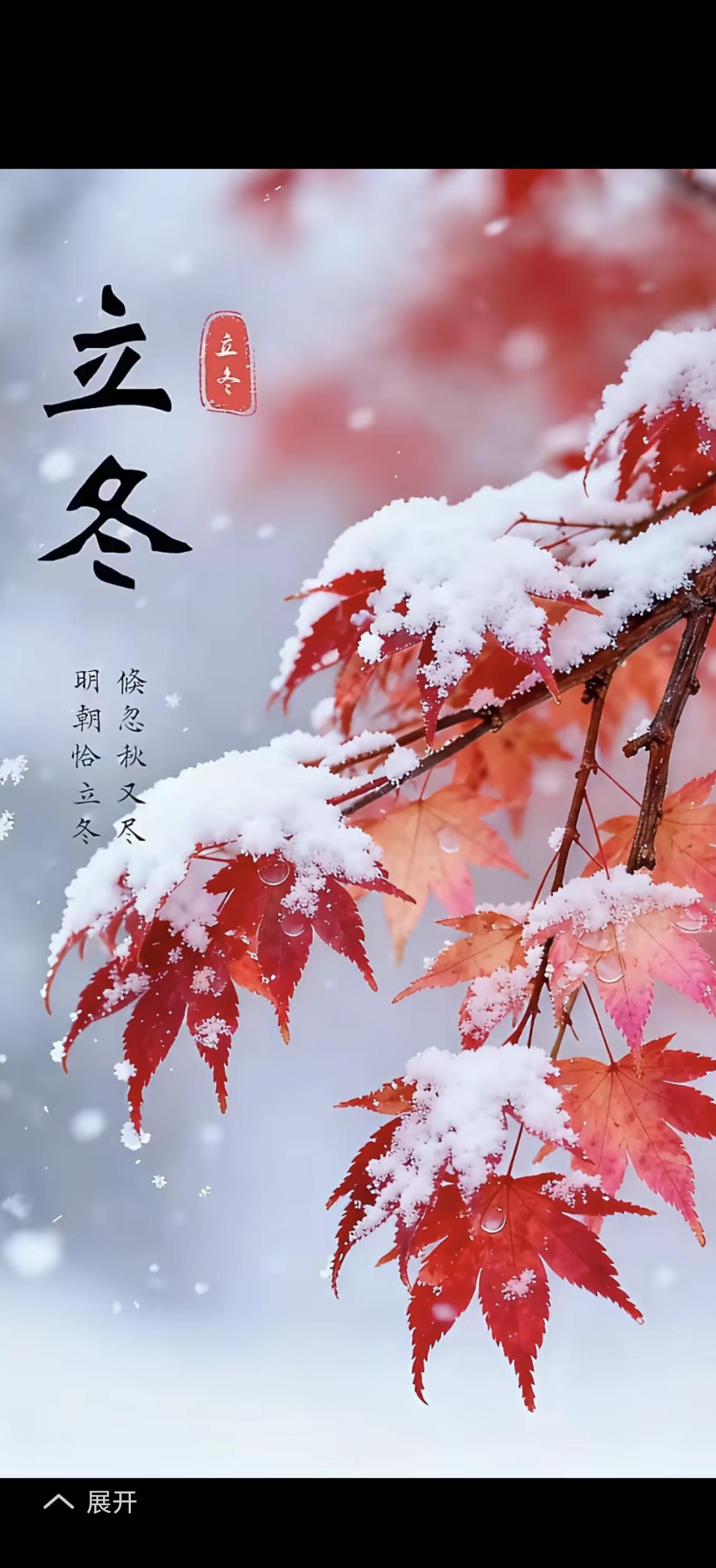 立冬到了，天地有了初寒之意。风里添了清冽，落叶卷着秋意悄悄退场。立冬是冬天第一